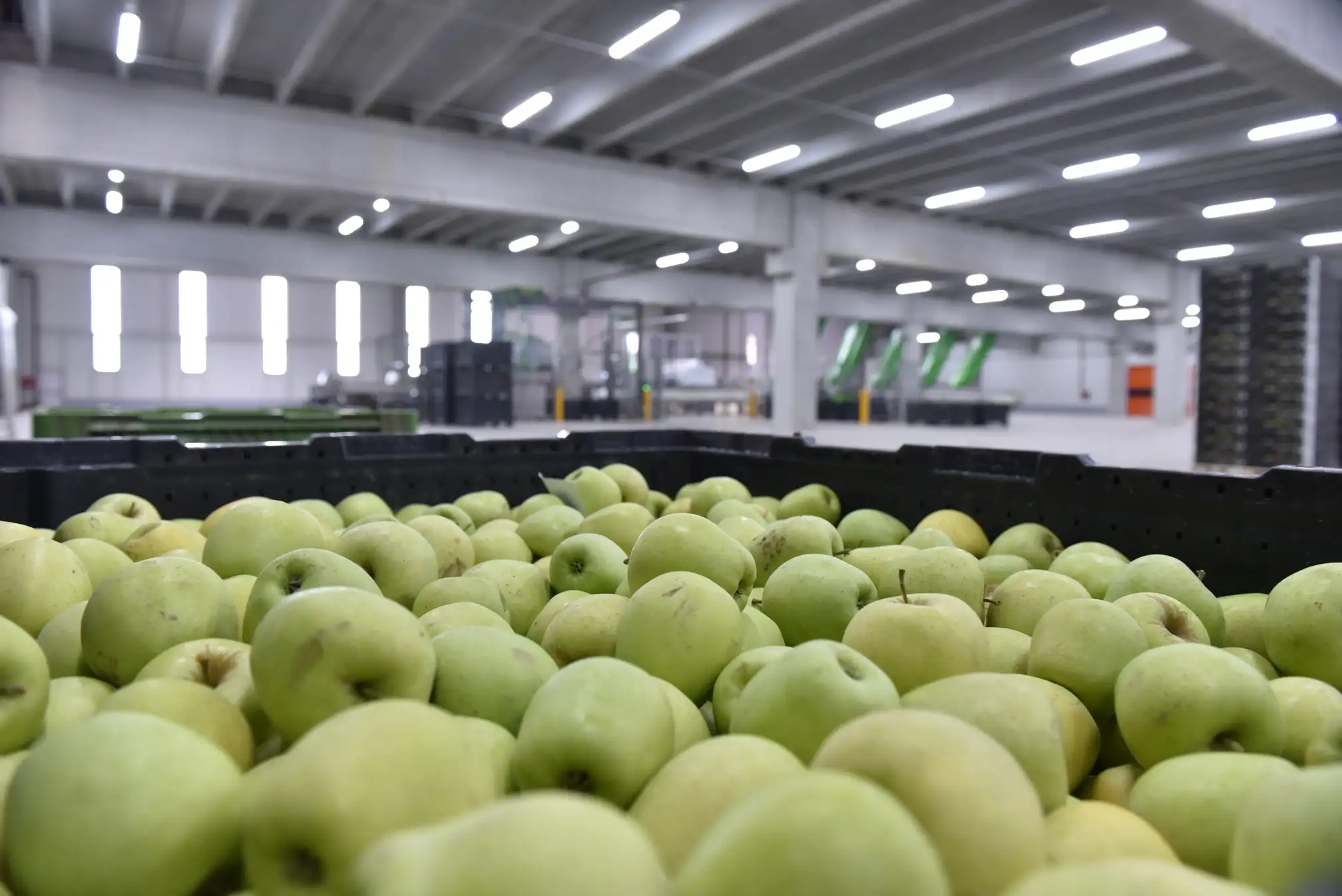 Agrounija projekat slika 10