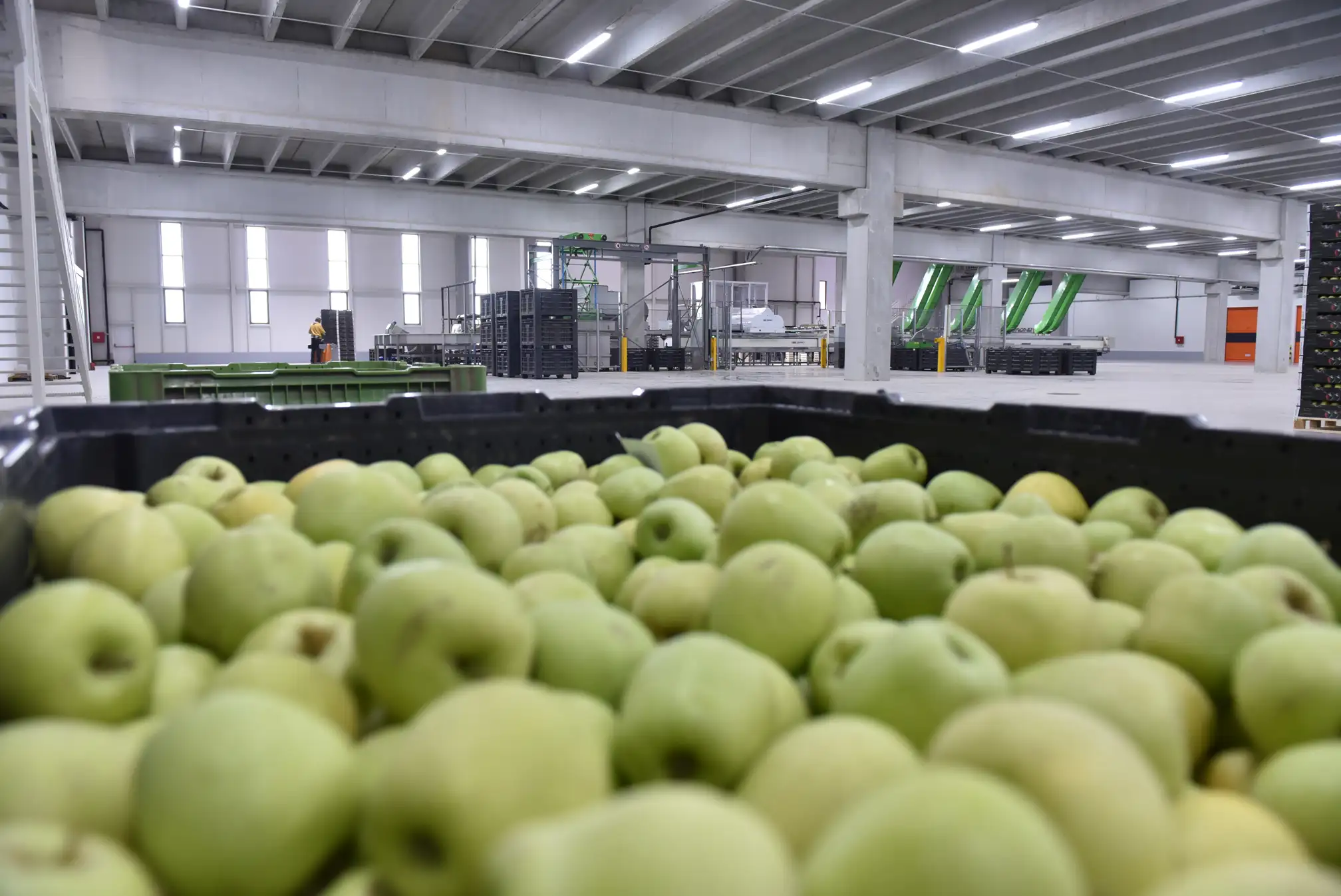 Agrounija projekat slika 11