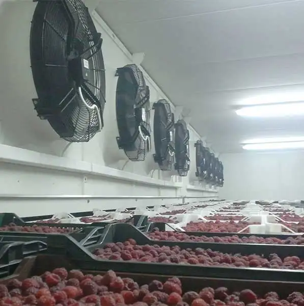 Galerija Rešenja - Slika 4